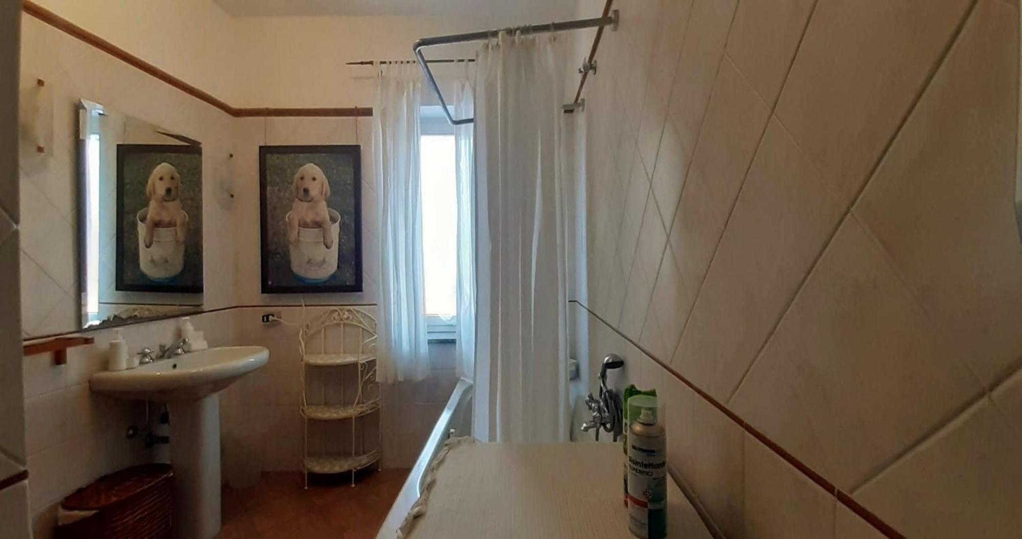 Fabiola B & B 马里诺 外观 照片
